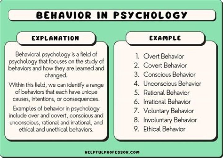 Does psychology scale up?