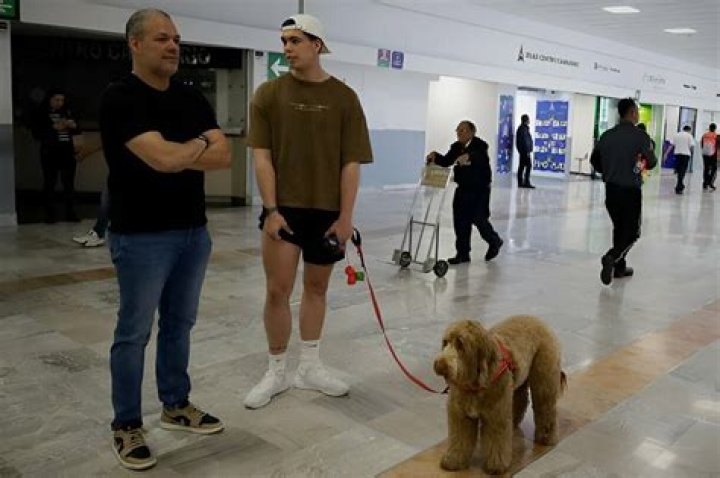 Does rural king allow dogs?