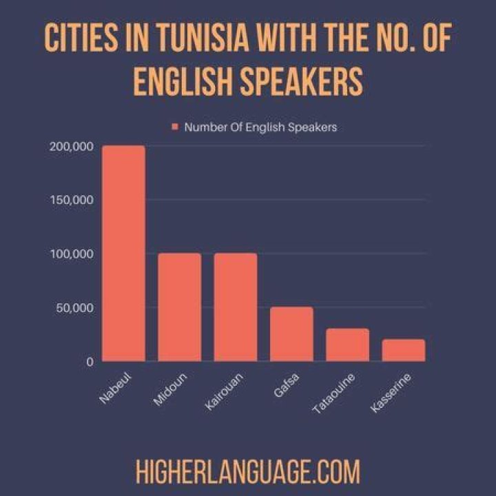 Does tunisia speak english?