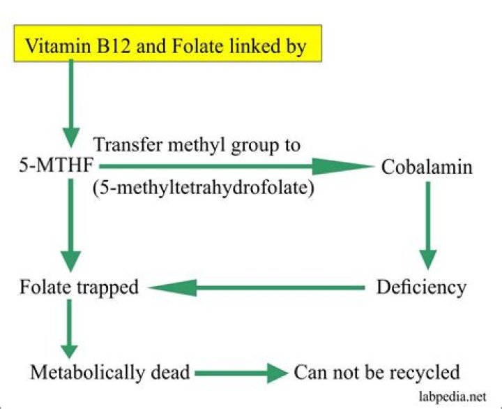 Does vitamin b12 activates folate?