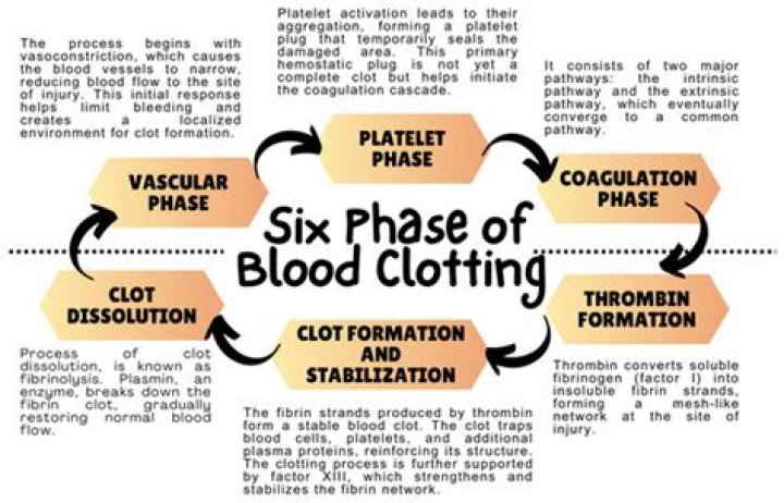 During blood coagulation thromboplastin is released by mcq?