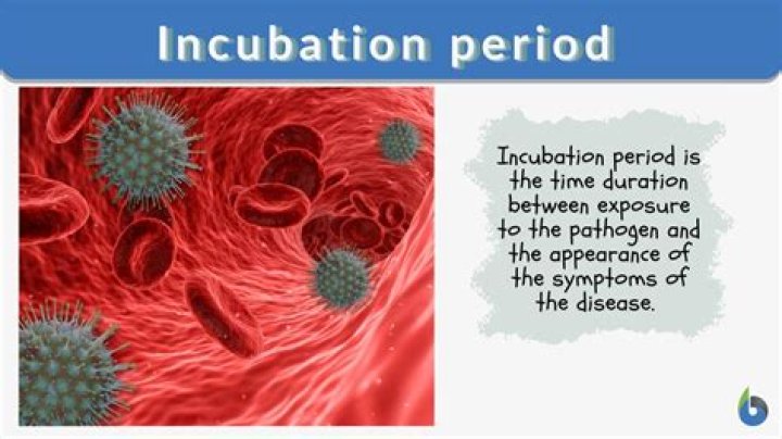 During incubation period are you contagious?