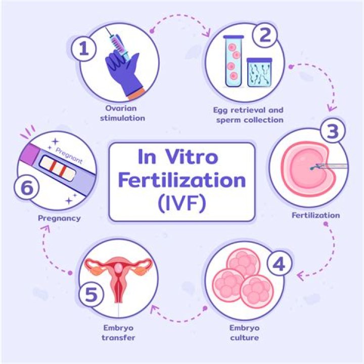 During ivf how many eggs should be retrieved?