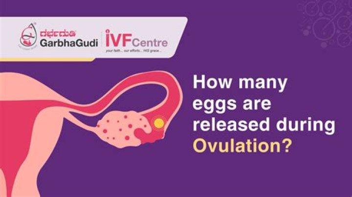 During ovulation female gamete is released as?
