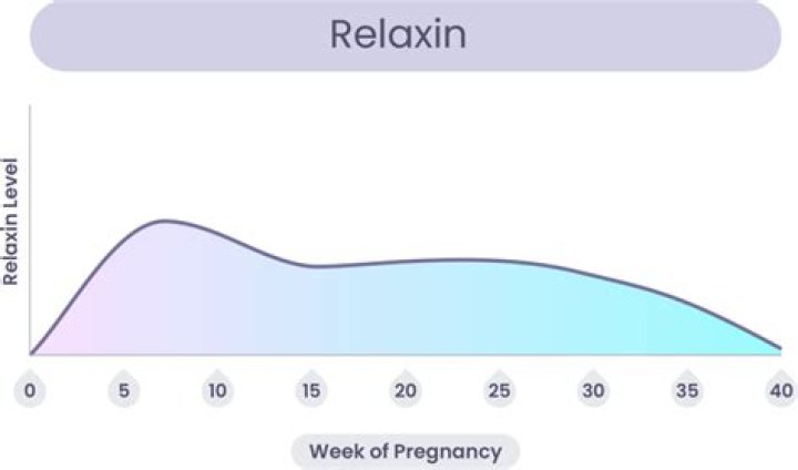 During pregnancy relaxin hormone?