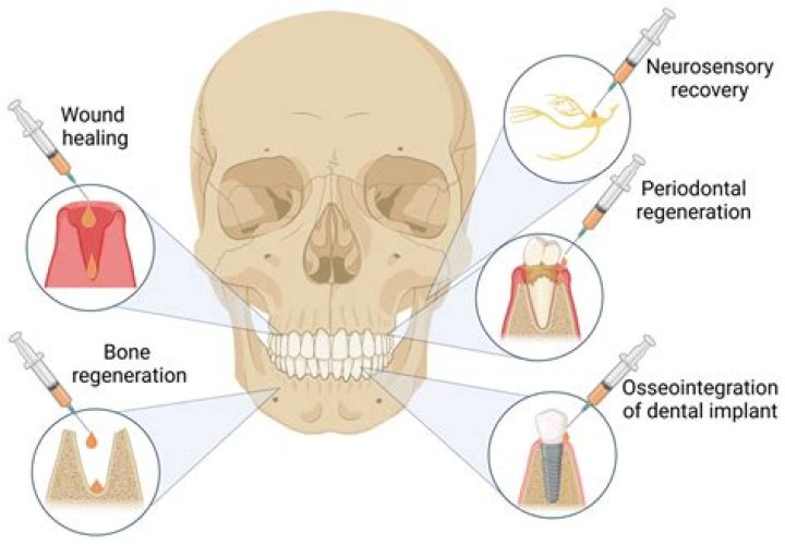 During the period of his secondment?