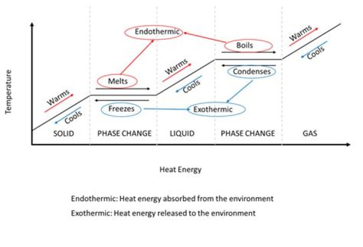 During which change is heat energy absorbed?