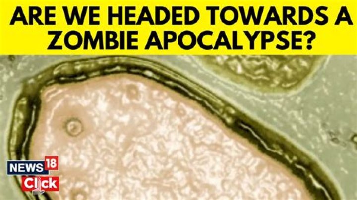 Has there ever been a biological attack?