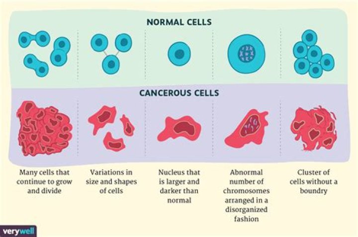How are cancer cells and noncancerous cells similar?