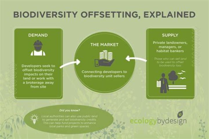 How biodiversity offsets work?