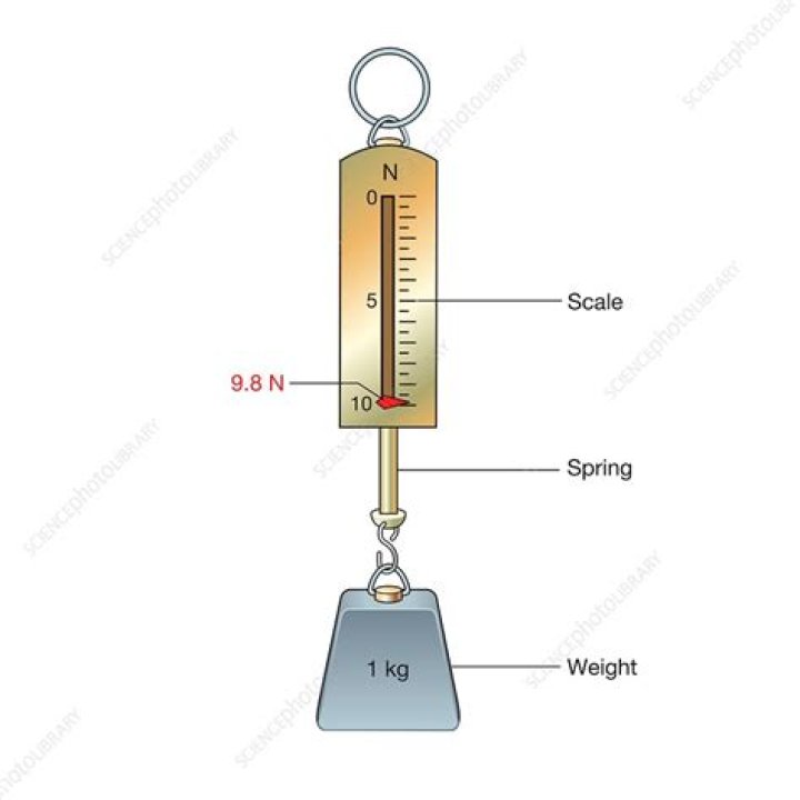How does a newton meter work?