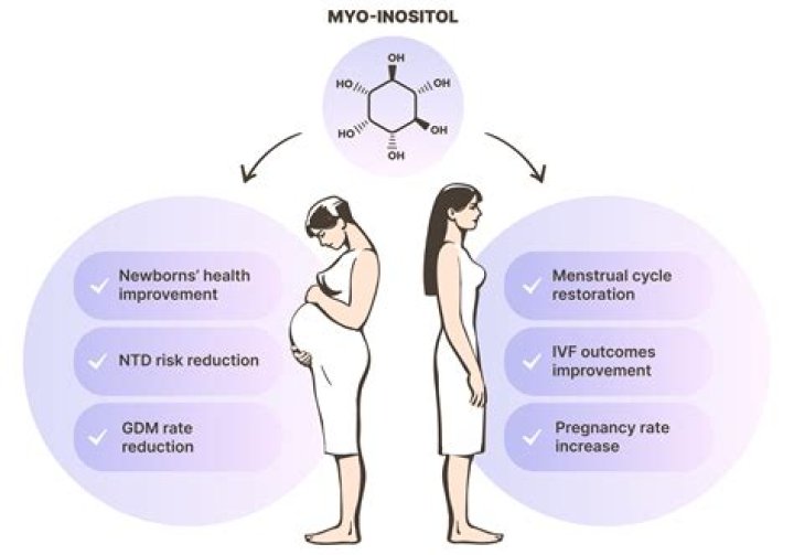How does myo inositol work?