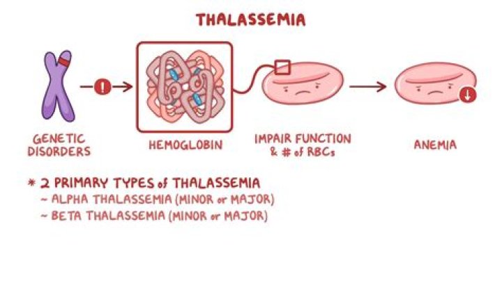 How does splenectomy help thalassemia?
