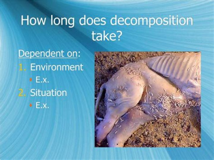 How long decomposition take?