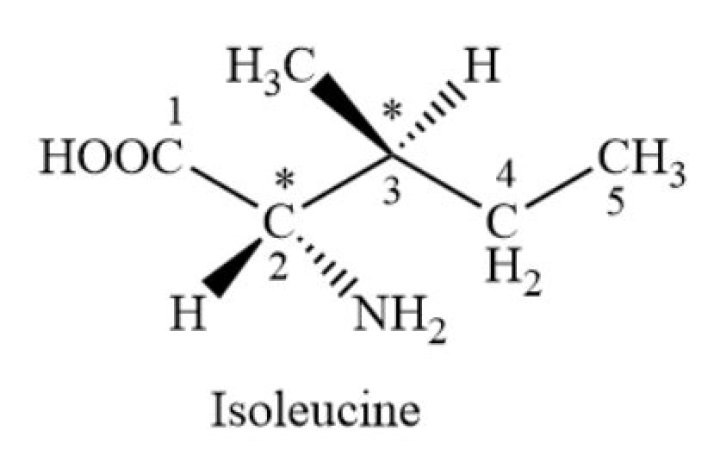 How many chiral carbons in isoleucine?