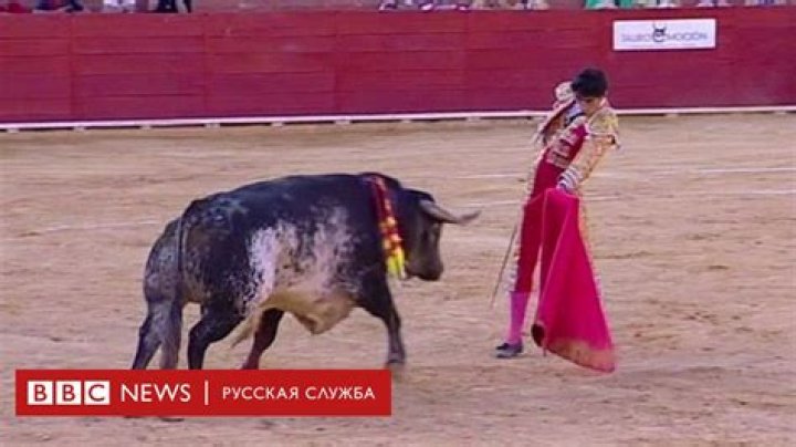 How many matadors are killed every year?