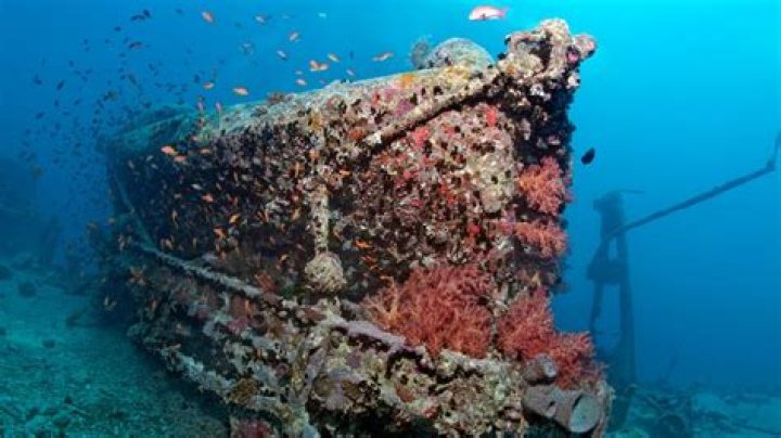 How many shipwrecks are in the ocean?
