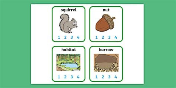 How many syllables in squirrel?