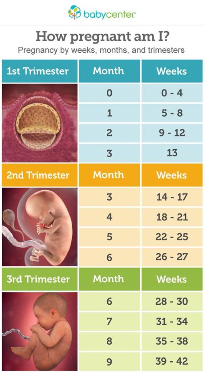 How many weeks is term time only?