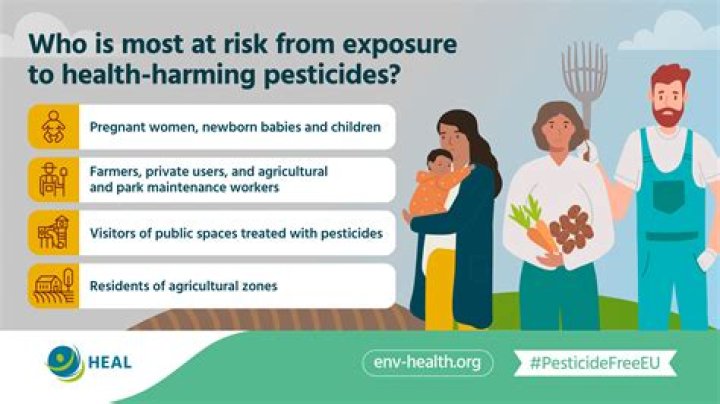 How pesticides are harmful?