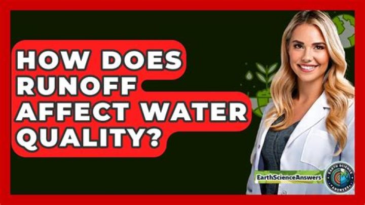How runoff affects water quality?