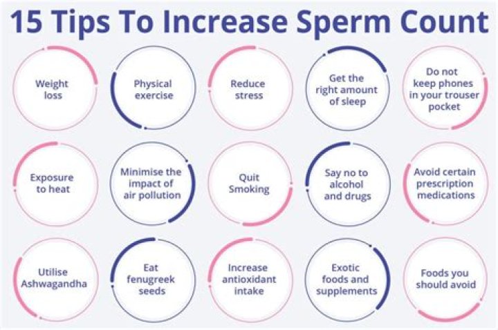 How sperm count increase?