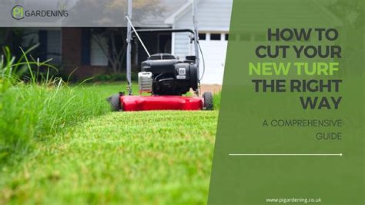 How to cut turf with a spade?