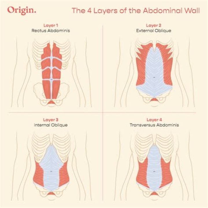 How to engage deep abdominals?