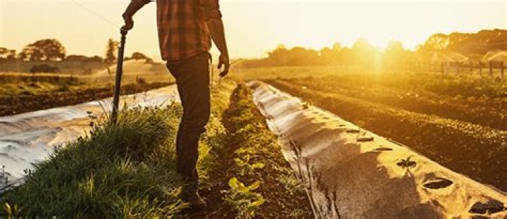 How to get a farmhand in farm together?