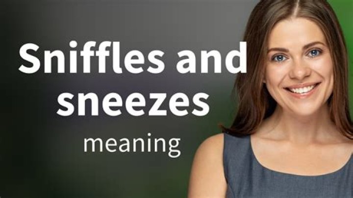 How to make sniffed in a sentence?