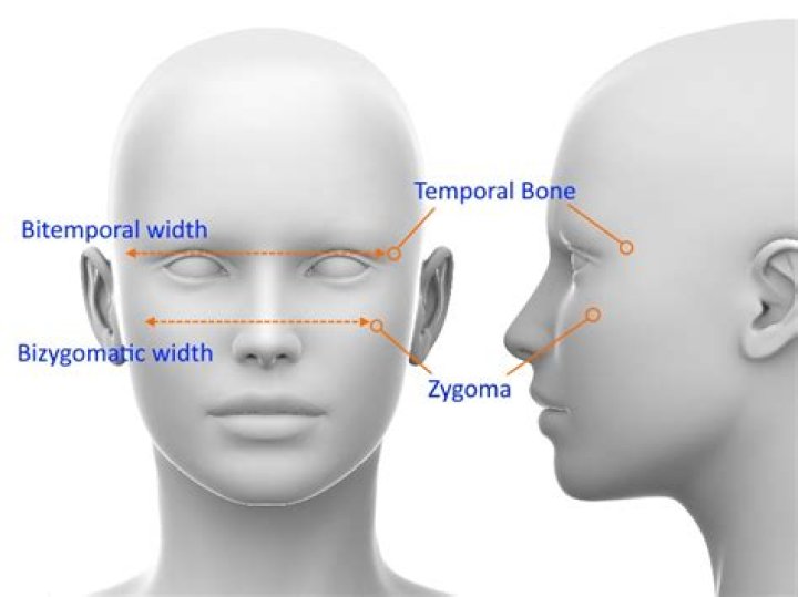 How to measure bizygomatic width?