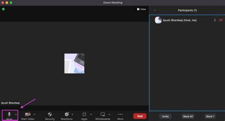 How to mute yourself on zoom?