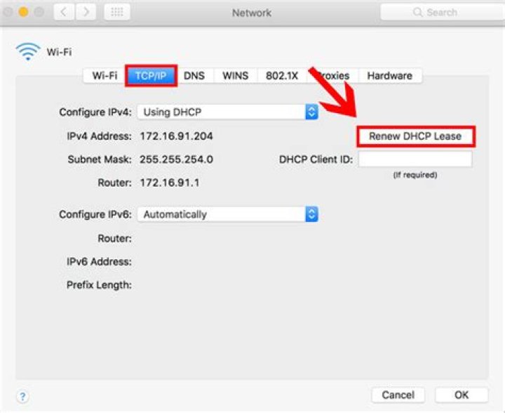 How to reset tcp?