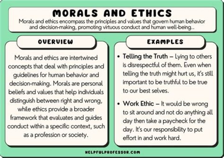 How to use moralistic?