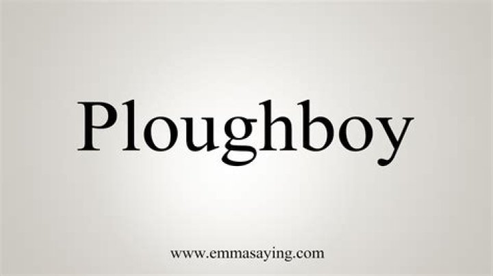 How to use ploughboy in a sentence?