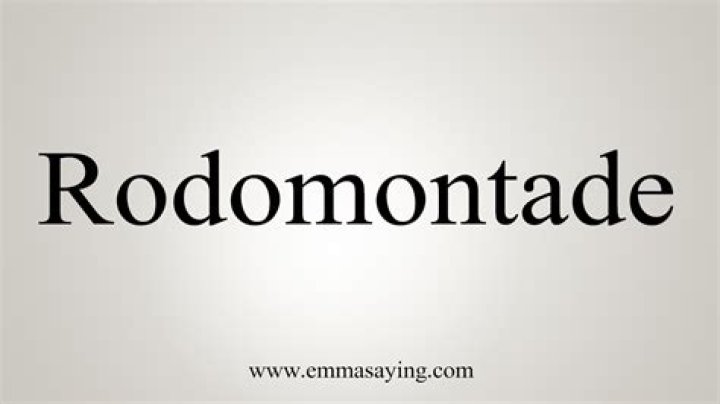 How to use rodomontade in a sentence?