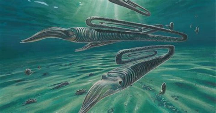 How to use the word macrofossil in a sentence?