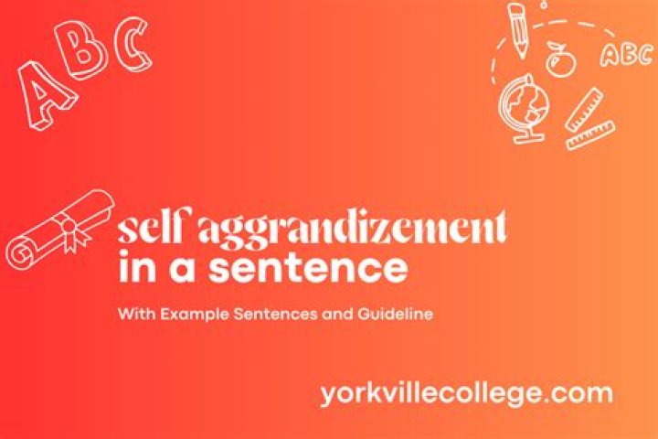 How to use the word self-aggrandizement in a sentence?