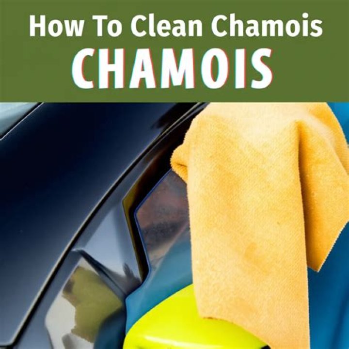 How to wash chamois?