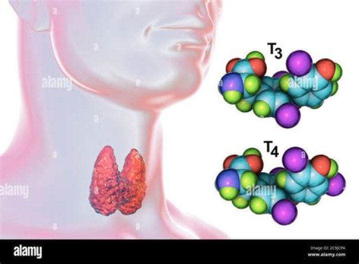In comparison to triiodothyronine (t3) thyroxine (t4)?