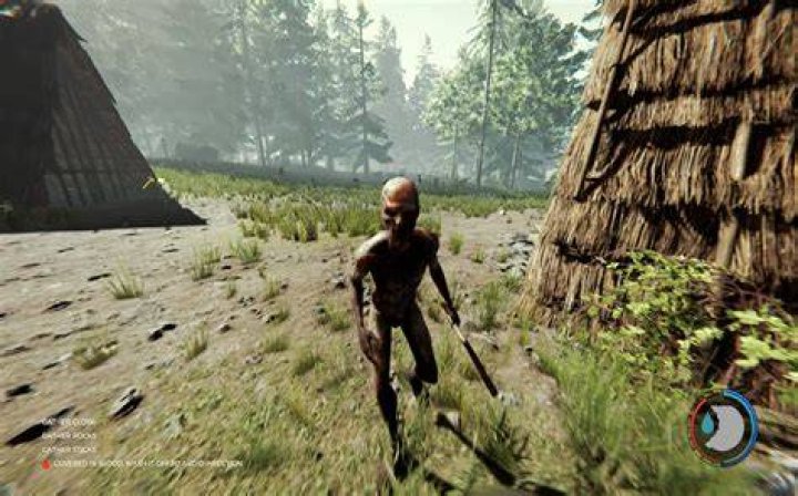 In the forest game?