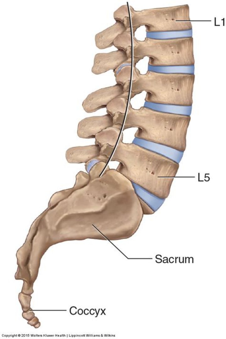 In the lumbosacral area?