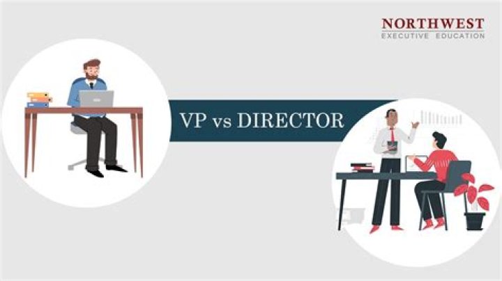 Is a vp a director?