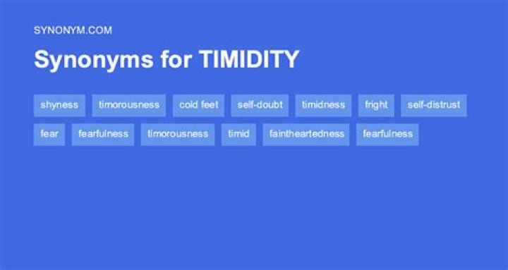 Is another word for timidity?