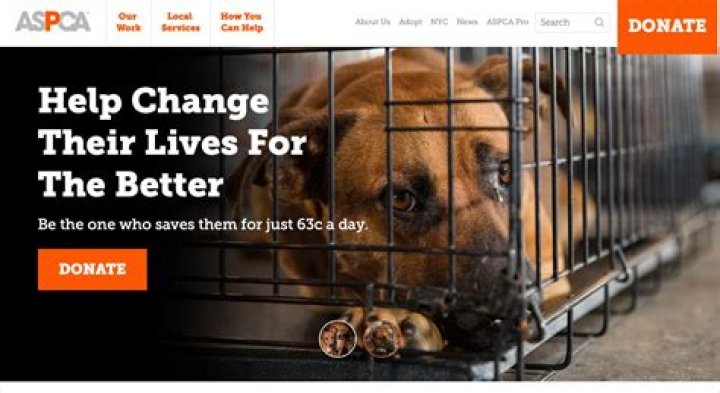 Is aspca non profit?
