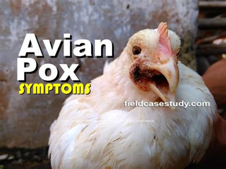 Is avian pox fatal?