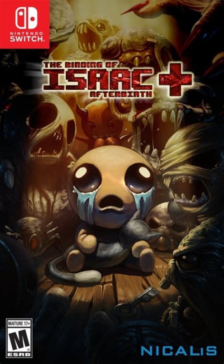 Is binding of isaac afterbirth?