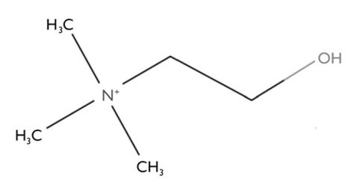 Is choline bitartrate safe?