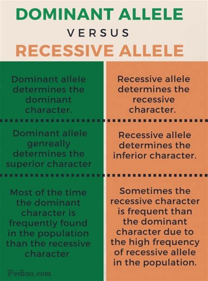 Is dominant and recessive traits?