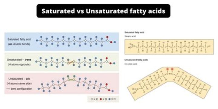 Is erucic acid saturated or unsaturated?